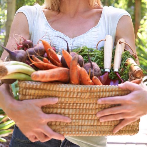 Healthy living hypnosis live longer naturally